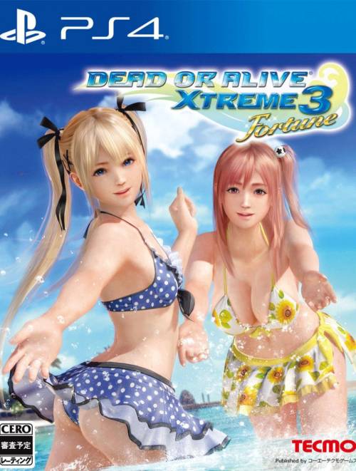 DEAD OR ALIVE XTREME 3